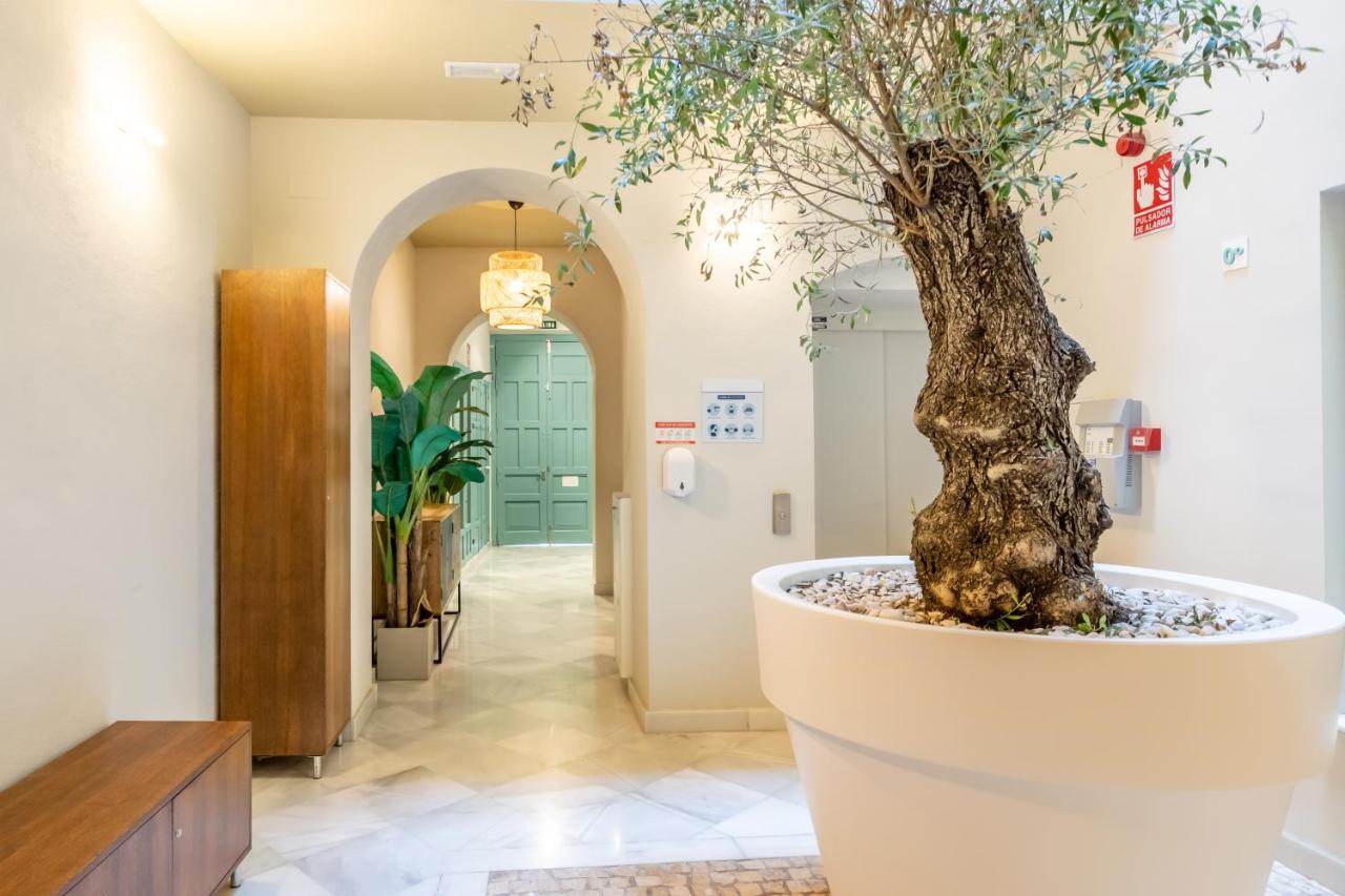 Apartamento Kayser Premium