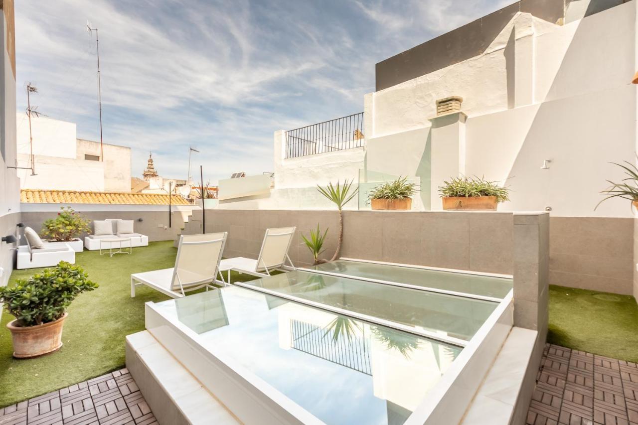 Kayser Premium * Seville